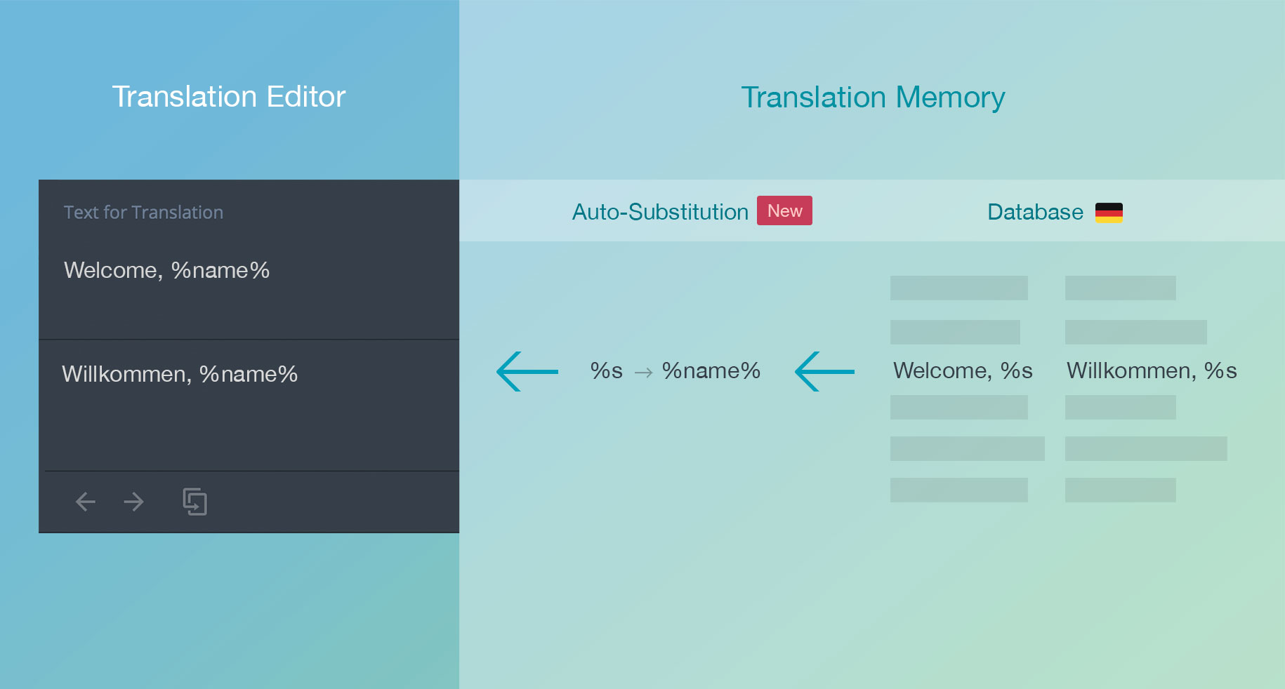 New feature: auto-substitution for non-translatable elements in TM